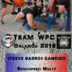 Fiche GAMEIRO steeve wpc france 2018